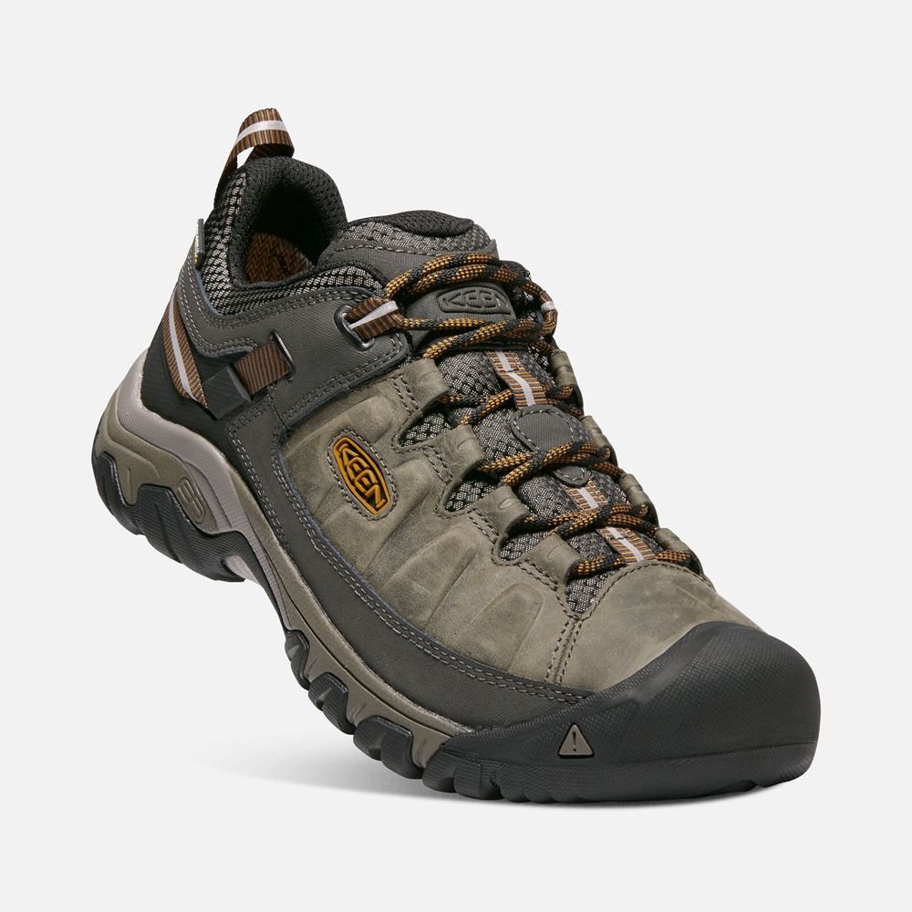 Chaussure de Randonnée Keen Homme Vert Olive/Noir | Targhee Iii Waterproof | ZJXGI-2504